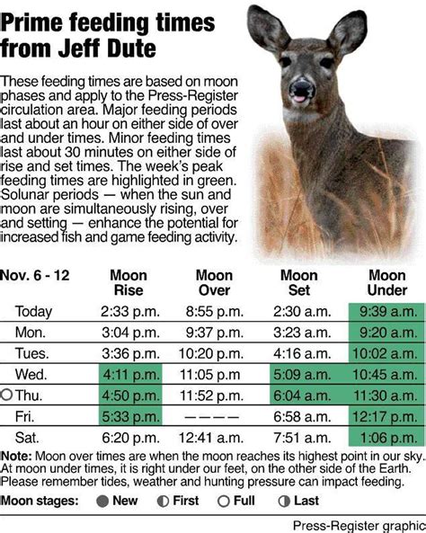 realtree feeding times|free feeding times 2023.